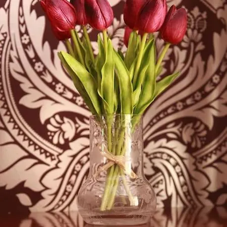 Tatil Evi Casa Giulia *